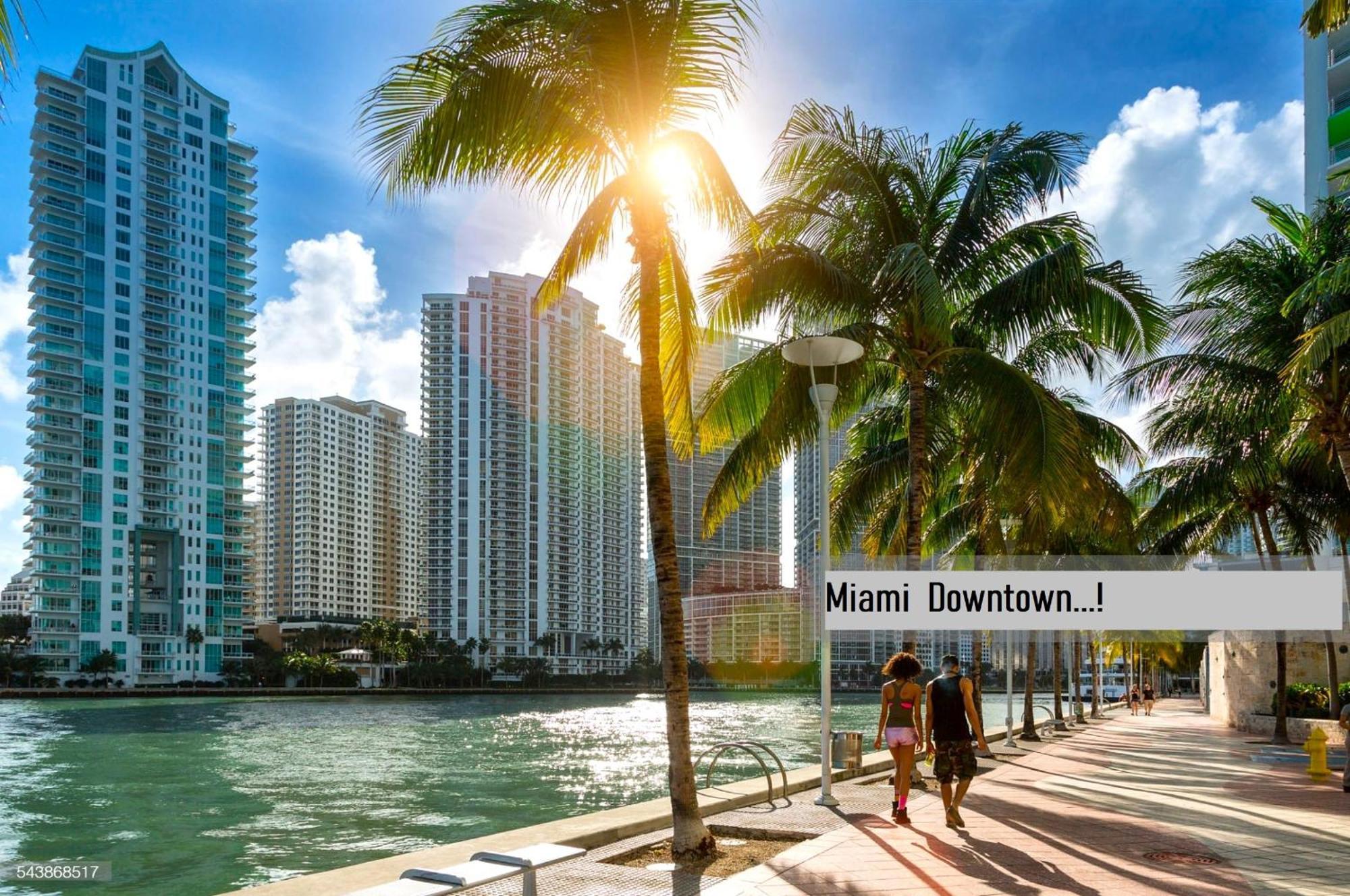 Experience The Perfect Miami Life!! Centrally Located Luxury Condo! Buitenkant foto